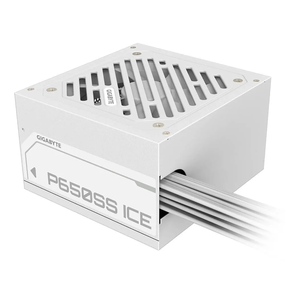 /images/products/49552_gigabyte_p650ss_ice_h3_jpg.webp